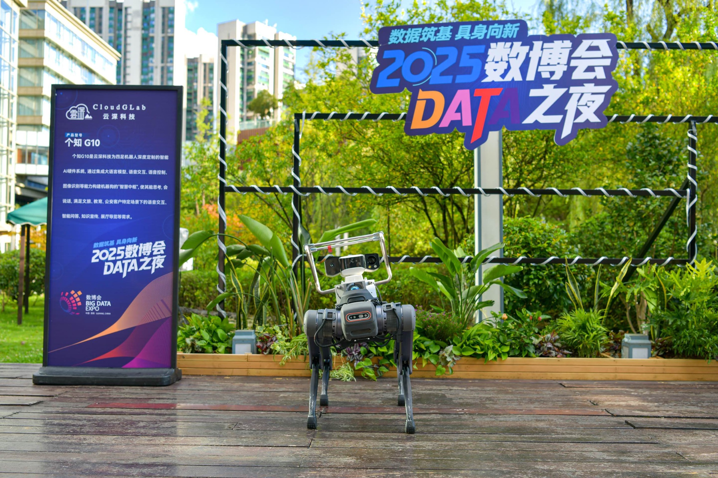 机器狗现场展示与互动