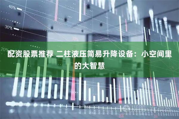 配资股票推荐 二柱液压简易升降设备:小空间里的大智慧